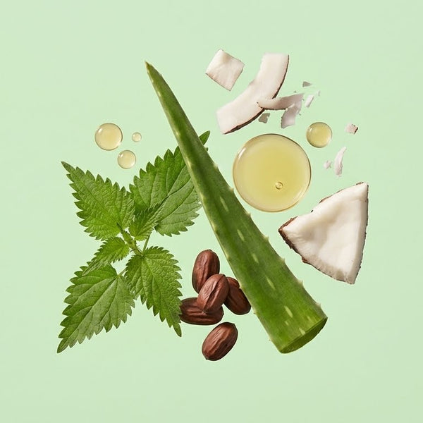 NUTRITION KIT