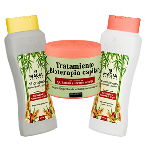 Molecular Biotherapy Hair Repair Kit with Chili and Bamboo