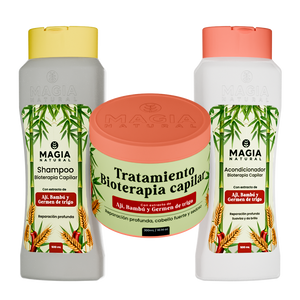 Molecular Biotherapy Hair Repair Kit with Chili and Bamboo